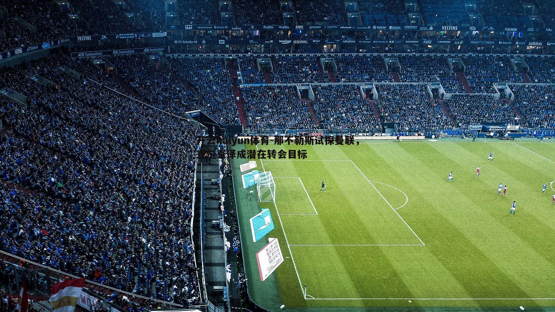 那不勒斯试探曼联,齐尔克泽成潜在转会目标